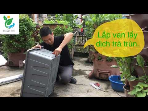 Video HƯỚNG DẪN LÀM THÙNG NUÔI TRÙN QUẾ TẠI NHÀ - youtube