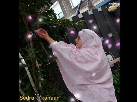 أتل ياتالي القرآن