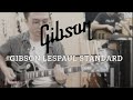 Gibson lespaul standard live in holyonemusic feat 