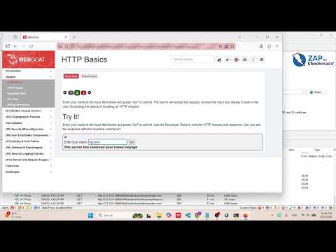 WebGoat - HTTP Basics Guide