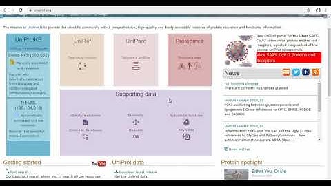Entry to UniProt | Protein databases | All you need to know about UniProt | UniProt-1