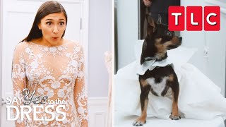 Most Outrageous Wedding Dress Requests! | Say Yes to the Dress | TLC