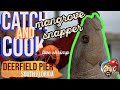 LIVE SHRIMP 🦐 SNAPPER ON DEERFIELD PIER 🎣🐟 CATCH & COOK 🎣🔥 FLORIDA PIER FISHING ADVENTURE