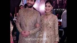 Watch All Pictures Of Most Popular Couple In Stan Ahad And Sajil