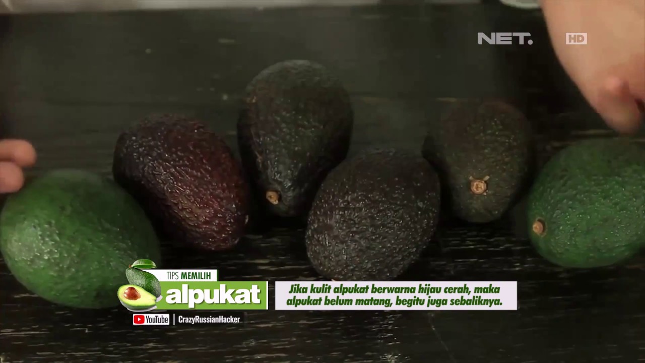 Alpukat Betawi, Buah Yang Tak Boleh Kamu Lewatkan