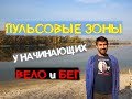 Как определить пульсовые зоны у начинающего велосипедиста и бегуна