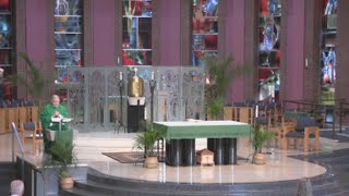 Friday, May 29, 2026 8:15 a.m. Mass