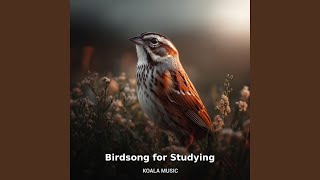 Birdsong for Studying: Focus and Concentration Sounds, Pt.19