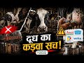 Behind the Veil of the Indian Milk Industry