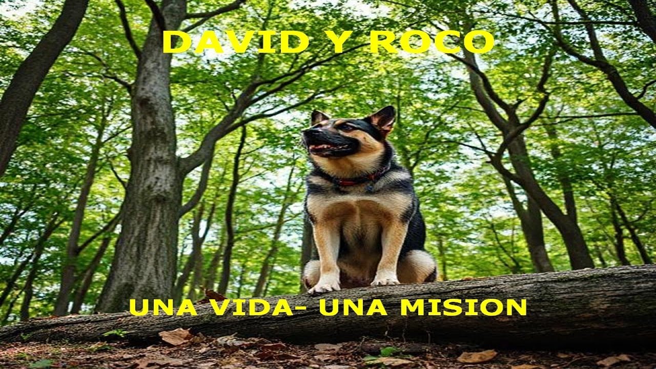 DAVID Y ROCO UNA VIDA UNA MISION - YouTube