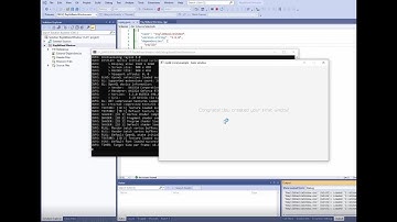 Easy setup for building a basic graphics window using C++, raylib, Visual Studio and vcpkg.