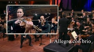 Beethoven 5th Symphony, Mov I (Viola)