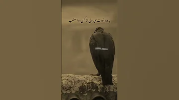 جونغكوك السعودية 
