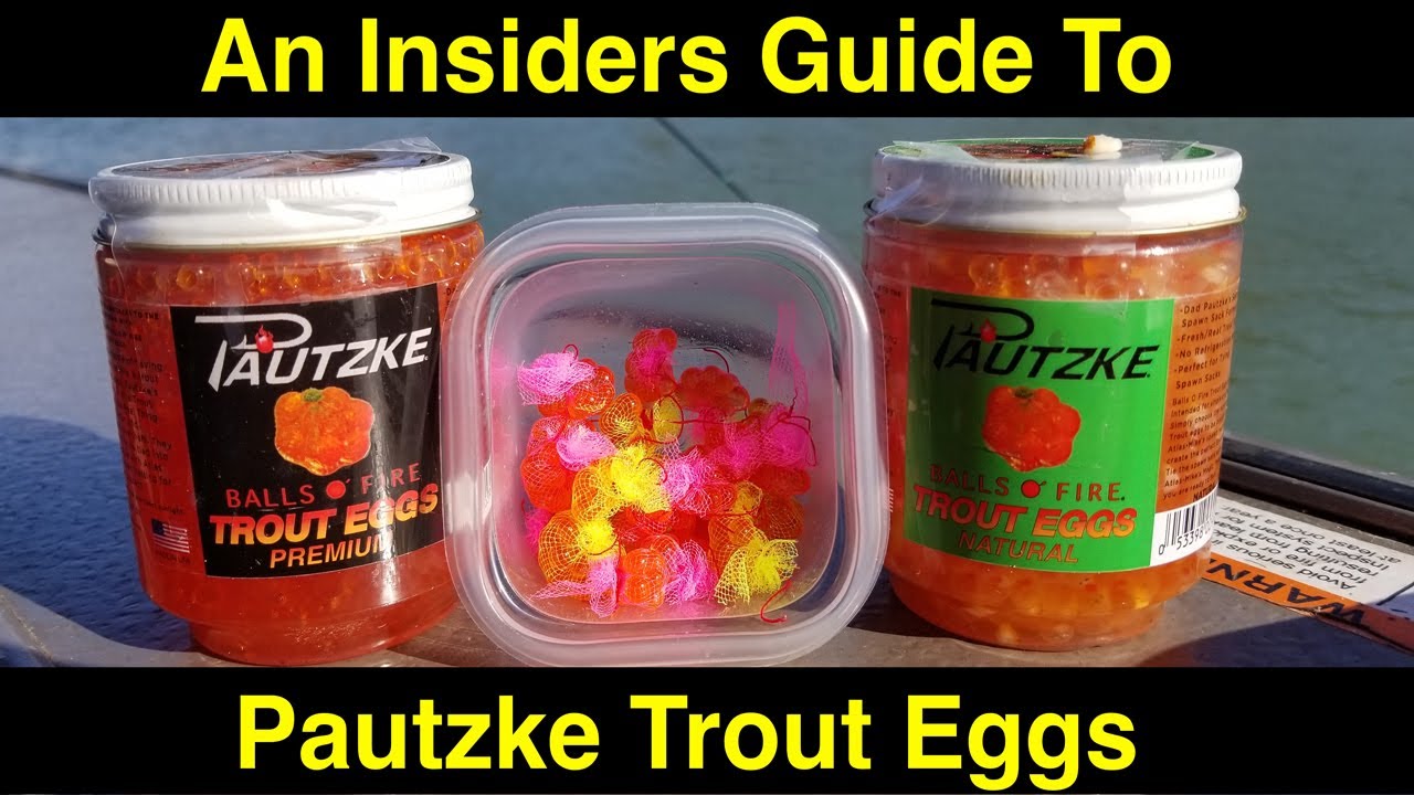 An Insiders Guide To Pautzke Trout Eggs 