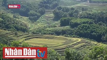 Ruộng bậc thang Hòa Bình - Tiềm năng phát triển du lịch