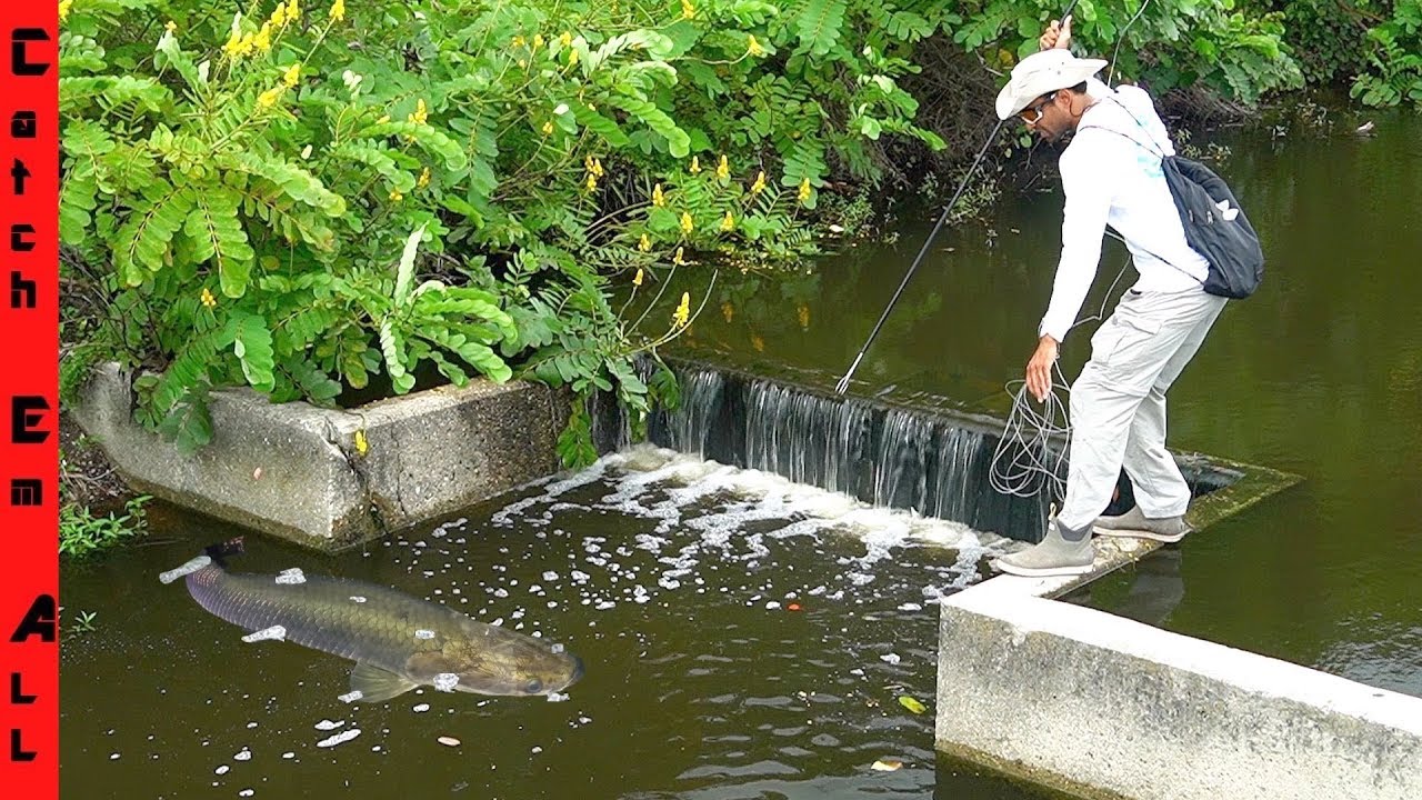 BUILDING FISH Throwing SPEAR! **Legal Fishing Method** 