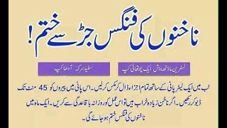 Desi Totaky & Ghrelo Illaj Vid.3