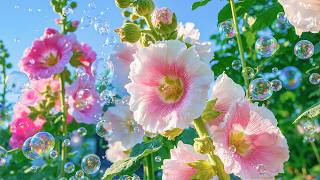 Soothing sound to calm down and relax - Healing Music for Anxiety Disorders