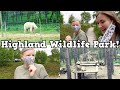 Highland Wildlife Park!