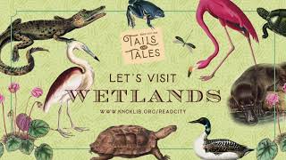 Tails and Tales Storytime: Wetlands Animal in the Swamp