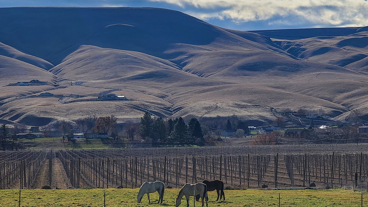 Horse Property at 158904 W North River Road Prosser, WA 99350 Home For