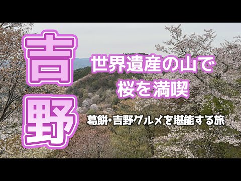 【奈良吉野】世界遺産の山で桜を満喫。吉野グルメを堪能する旅