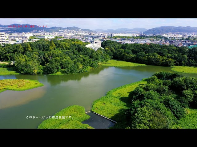 昆陽池公園 - YouTube