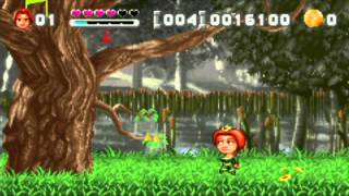 Shrek: Hassle in the Castle - Pop Bird Rapidly screenshot 5