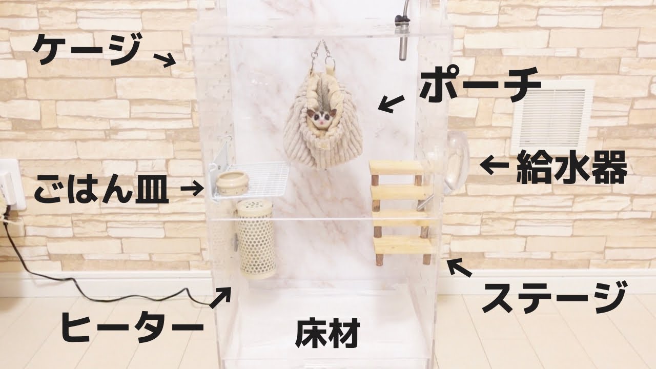 うちで使ってるフクロモモンガおすすめケージ&飼育グッズを紹介します！！【飼い方】