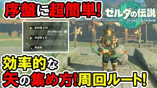 【ティアキン】超簡単！矢の効率的な集め方！周回ルート！【ゼルダの伝説】