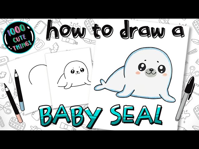 How To Draw A Baby Seal Cartoon 