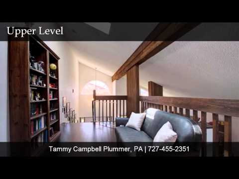 417 4th Avenue North, Tierra Verde, FL home video tour