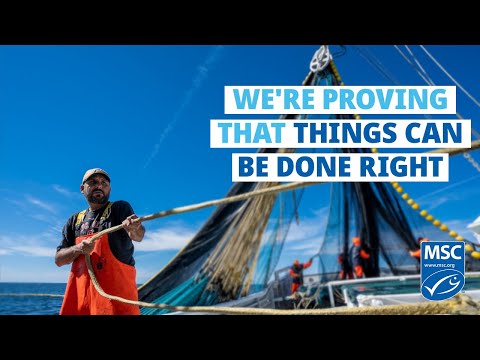 Are Pilchards Sustainable