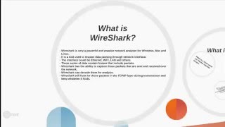 Wireshark for PING