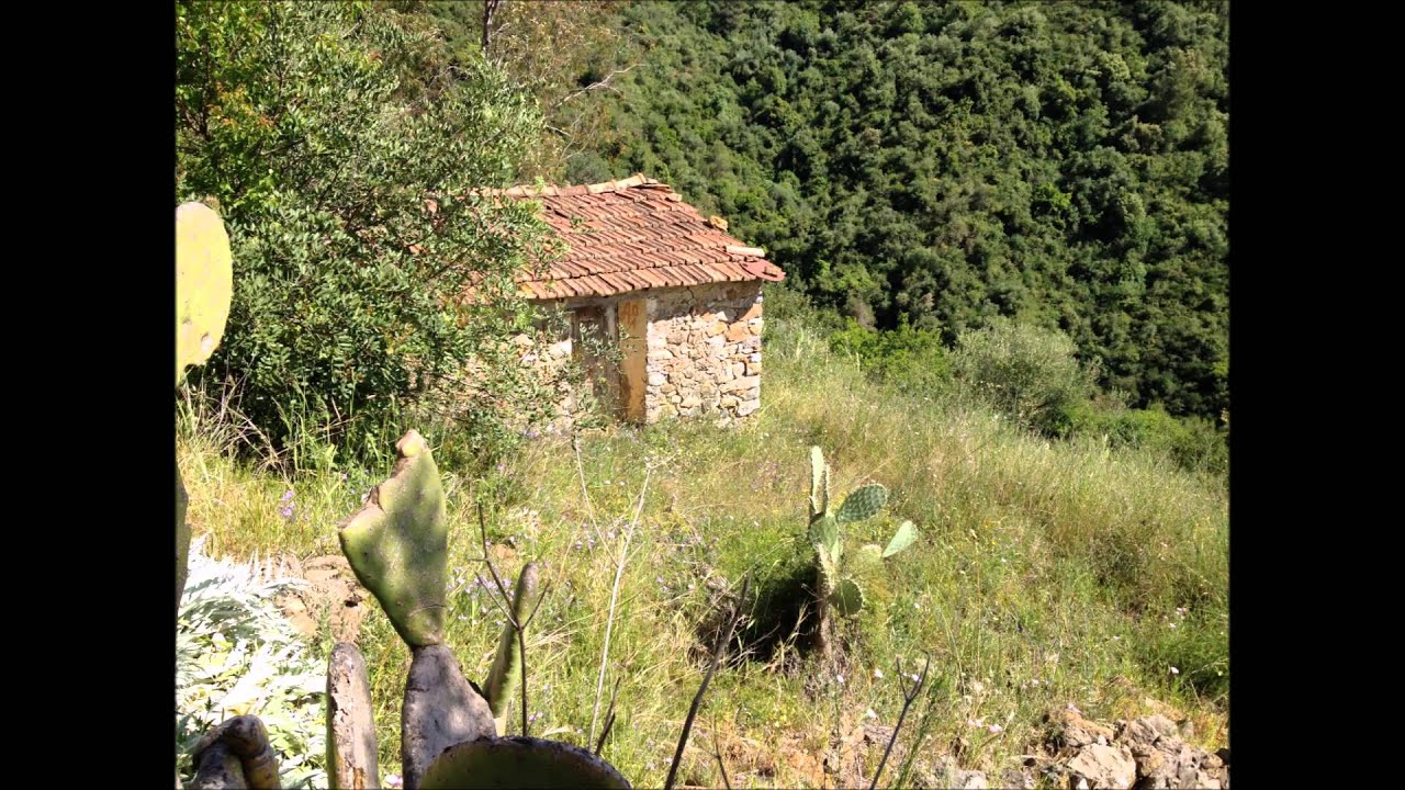 Zahir Meznad: Asmi elligh damezian