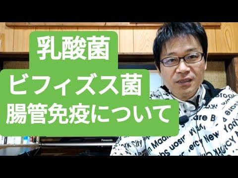 乳酸菌 ビフィズス菌 腸管免疫 健康食品