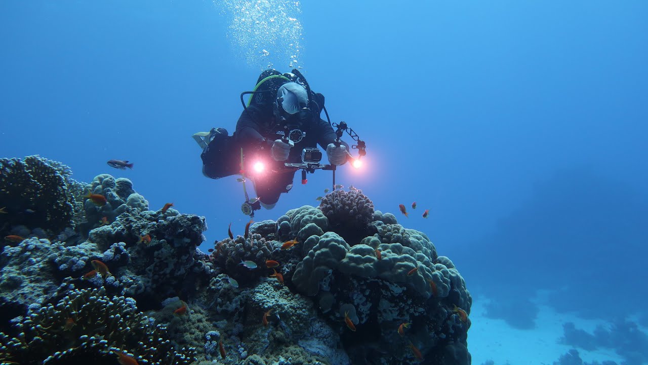 Marsa Alam Scuba Diving Egypt رحلة غوص مرسى علم YouTube