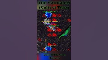 [EK SOLO] BOSS THE VOIDBORN - Cults of Tibia #tibia #tibiaglobal #eksolo