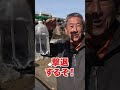 家庭菜園や農園栽培で簡単便利なアブラムシ撃退アイテム!【農家直伝】 #shorts /Aphid control tips from Japanese farmers.