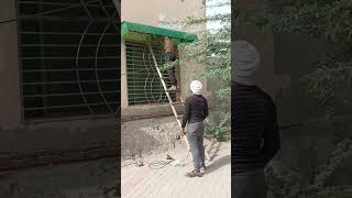 fiber glass shad car garage #vlog #glassfiber #newmusic #home #construction #garagelife
