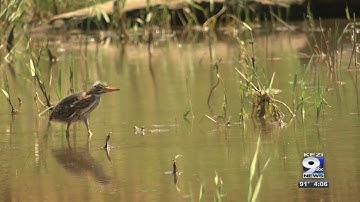 Willamette Valley lake levels are extremely low