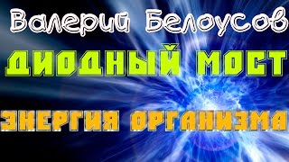 Валерий Белоусов. &quot;Диодный мост&quot; - Замер энергии организма.