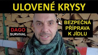 Úprava ulovených krys k jídlu a bezpečné místo ke spaní v lese