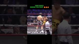 One Punch Ending The Fight 🔥 #boxing #shorts #viral