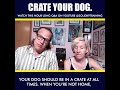 Crate Your Dog | Dog Training Bites Crate Your Dog | Dog Training Bites