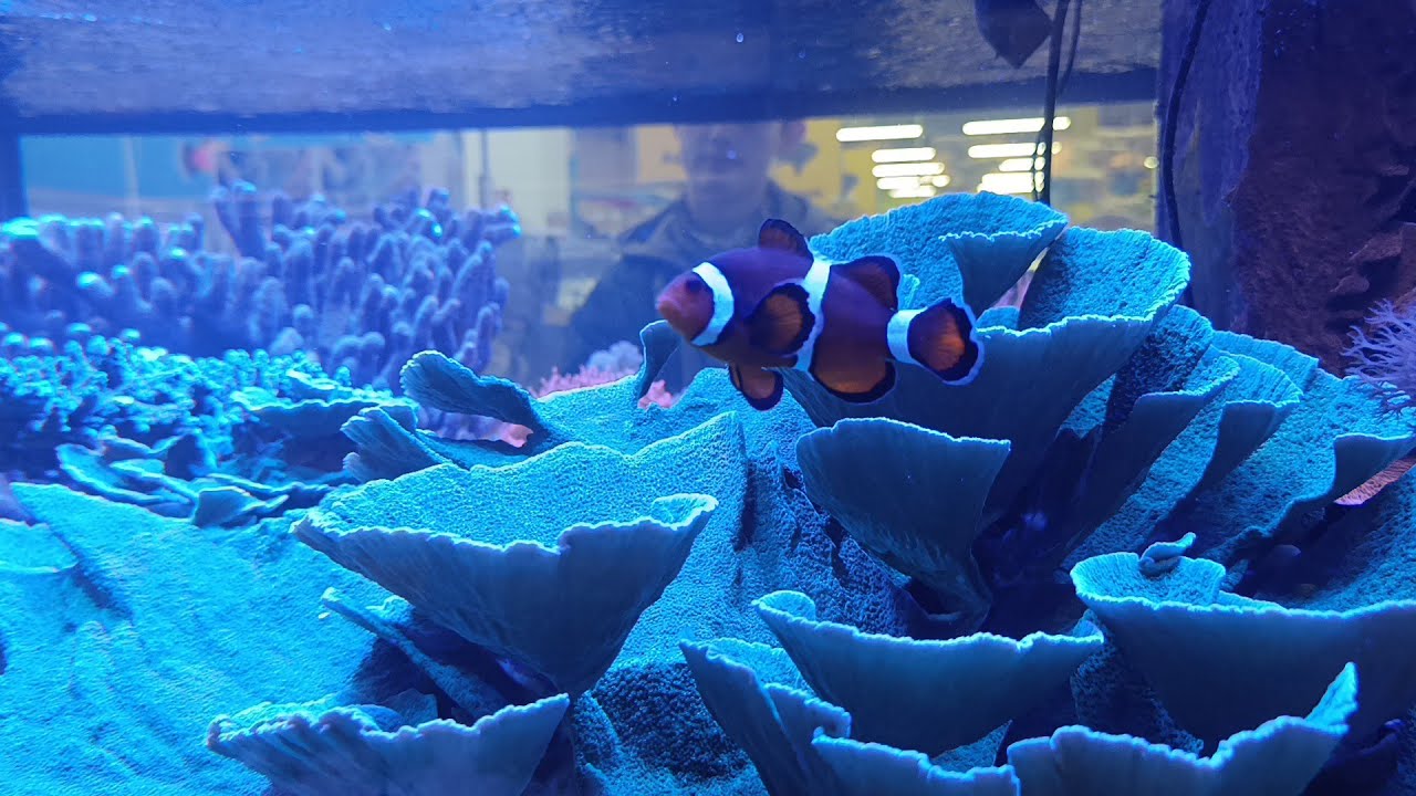 Visit to DAS FUTTERHAUS - Wiesbaden, Frankfurt #germany #frankfurt #travel 