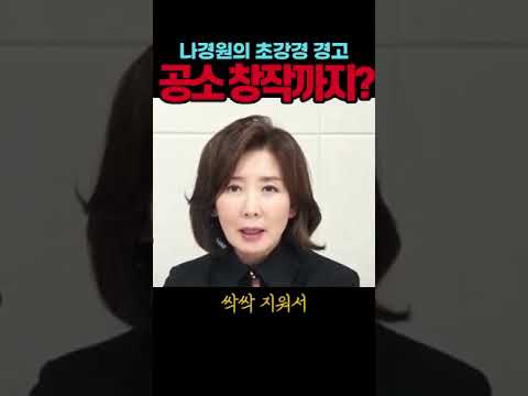 나경원, <strong>종합특검</strong> 향해 초강경 경고#나경원#시사브리핑
