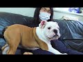 子ブル初めての実家！バァバの虜になってしまいました(笑)