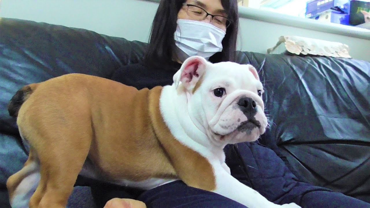 ぶるまる I love you daddy