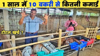 10 बकरी से कितनी कमाई होती है | 10 bakri se kitni kamai hoti hai